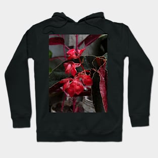 red flower in the garden Hoodie